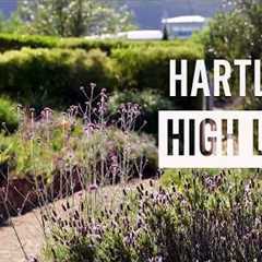 Hartley High Life | Garden Design | Gardening Australia