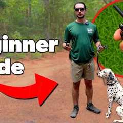 E Collar Training: A Beginner's Guide to Safe & Effective Use