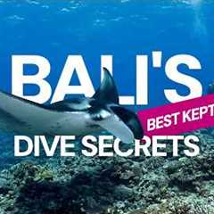 Bali Scuba Diving Guide: Best Dive Sites, Season & Travel Tips