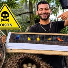 I Found PREDATORS Inside My Brand NEW AVIARY!