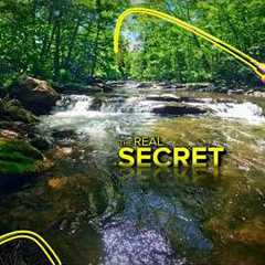 Fly Fishing Got WAY EASIER When I Figured This Out...