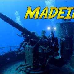 Madeira Dive Expedition! | BLUE WORLD DOCUMENTARY