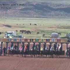 Wyoming Downs, Live Horse Racing, June 5, 2026