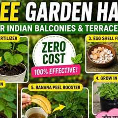 🌱 5 Free Garden Hacks Every Gardener Must Try! | Zero Cost Gardening Tips 💚