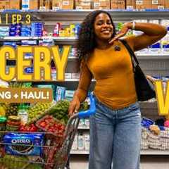 Monthly Grocery Shopping Vlog & Haul 🇨🇦 | How Much I Spend as an International Student in..