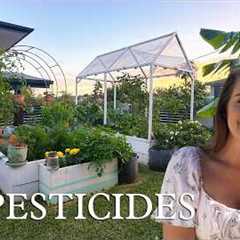 How I Keep Pests out of My Garden Naturally