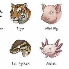 Exotic Pets That Should Be Illegal — and Why People Still Buy Them
