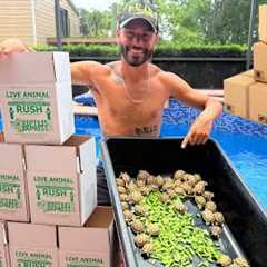 I SOLD All of My TURTLES & TORTOISES!!