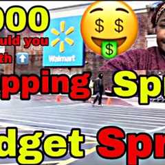 SHOP WITH ME HARRY & CORA ON A SHOPPING SPREE OF BUDGETING HOW MUCH DID WE SPEND?