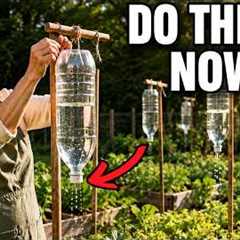 Do These 50 May Organic Gardening Tips Before It's Too Late!