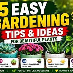    Start Gardening Today! 5 Simple Plant Ideas for Beginners
