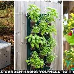 20 Dollar Tree Garden Hacks You Need To Try This Fall! Genius Ideas You'll Love