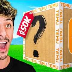 I Bought a $50,000 Temu Mystery Box!