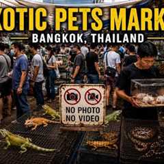 🇹🇭 4K HDR | What's Hiding Inside Bangkok's EXOTIC PET Market?