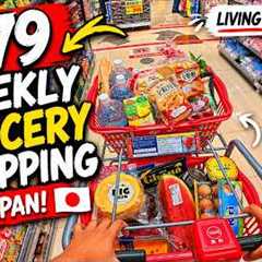 $79 Weekly Grocery Shopping in Japan