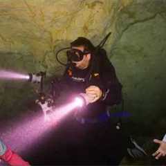 Divers React to divers entering cavern/cave zone to dig for fossils