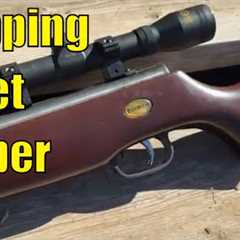Air Rifles For PREPPERS-- Do they Earn Their Keep?