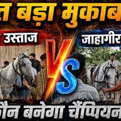 Salman Horse Race Yamunangar 5 Km🥇🏆🐎#horse #horsetrack #horseracing #horseriding #horseshows 