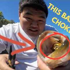 The Bait I Always Ignored Just Caught Fish