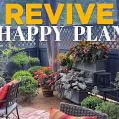 How to Revive Unhappy Plants: Summer Garden Secrets & Makeovers! | Linda Vater🪴