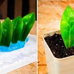 Useful hacks for your Garden. Grow Plants like a Pro