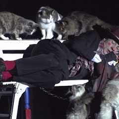 Comedy Pet Theater | Gregory Popovich