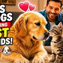 Cats and Dogs Becoming Best Friends