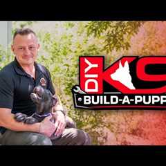 Puppy LIVE Training Sweepstakes!