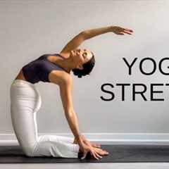 15 Minute Yoga Stretch Break | Open Your Body & Feel Amazing!