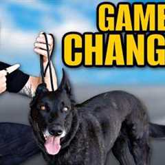 How To Use A Slip Leash To Train Your Dog!