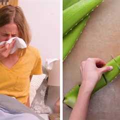15 Natural Beauty and Health Hacks You Have to Try This Summer!! Blossom