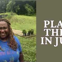 It's Not Too Late! 15 Crops You Can Still Plant in June