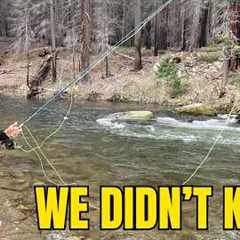 Beginner Fly Fishing: 10 Mistakes We Didn’t Realize We Were Making