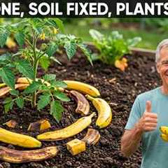 How to Use BANANA PEELS in the Garden: 7 Genius Tips for BIGGER Blooms & Healthier PLANTS!