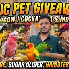 I’m Giving Away My Most Beautiful Birds! 🌈 Wajid Exotic Pets