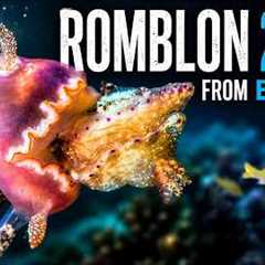 What its like to scuba dive in Romblon, Philippines