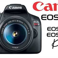 7 PHOTOGRAPHY TIPS FOR BEGINNERS - Canon EOS Rebel T7 / EOS 1500D