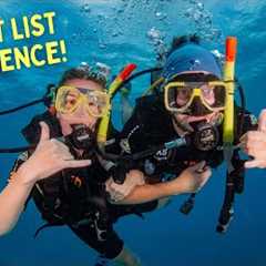 FINALLY Visiting the GREAT BARRIER REEF!! (What to Expect on a Day Trip from Cairns) - Queensland
