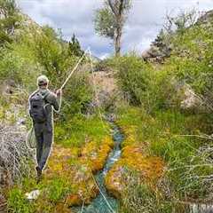 Fly Fishing the DRIEST State in America for 3 Days! (Nevada Trout Fishing)