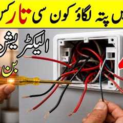 Electrical Board Wiring Explained in 1 Minute | Identify Every Wire Easily | Beginner to Electrician