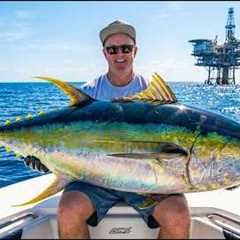 FOUR Hours of The World's BEST Offshore Tuna Fishing in Venice, LA (Saltwater Fishing in the Gulf)