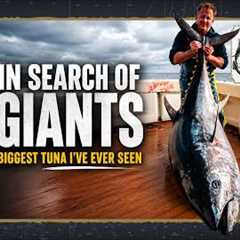 In Search of Giants | The Biggest Tuna I’ve Ever Seen!
