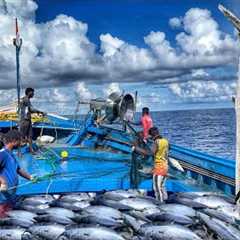 Great! On The Twelfth Day We Stayed In The Deep Sea And Caught Huge Fish | Day-12 | Deep Sea Fishing