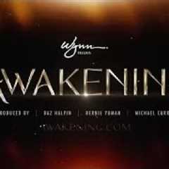 The Show You Can Only See at Wynn