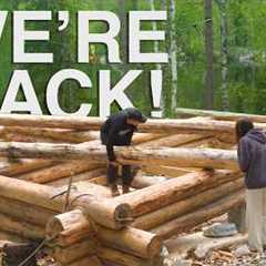 BACK TO BUILDING OUR LOG CABIN!