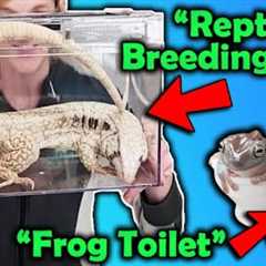 We Review Reptile Products from Temu!