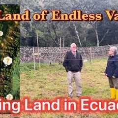 Buying inexpensive land and building a house in Ecuador!