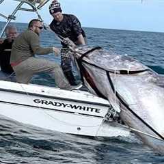 Amazing Fastest Giant Bluefin Tuna Fishing Skill - Most Satisfying Sea Fishing Video