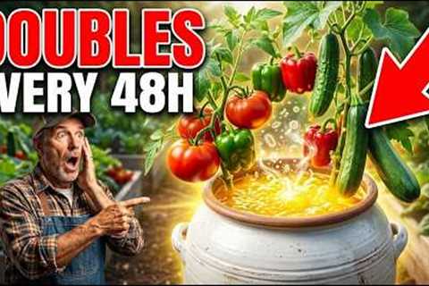 🔥This simple bucket trick makes plants grow like crazy!