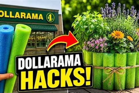 10 Genius Dollarama Garden Hacks That Actually Work! | Budget Gardening Canada 🇨🇦